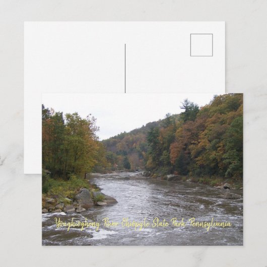 秋葉書 ポストカード (正面/裏面)