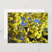 秋葉末の銀杏の国:日本 ポストカード (正面/裏面)