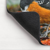 秋葉砂にホエスズメの斑点 マウスパッド (コーナー)