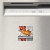 秋葉磁石 マグネット (インサイチュ (食洗機))