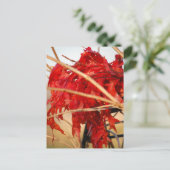 秋葉赤/秋 ポストカード (スタンド正面)