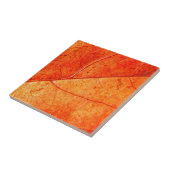 秋葉陶瓦 タイル (側面)