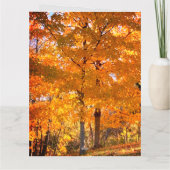 秋葉 カード (裏面)