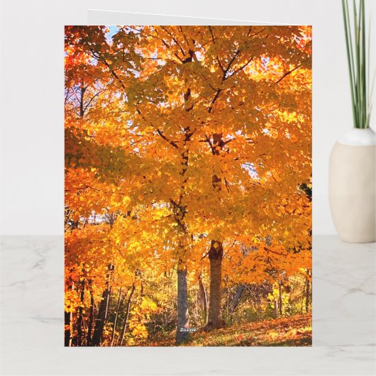 秋葉 カード (裏面)