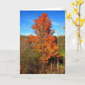 秋葉 カード (黄色い花)