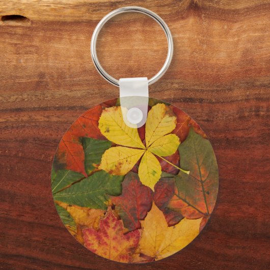 秋葉 キーホルダー (正面)