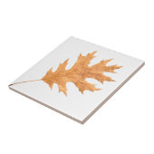 秋葉 タイル (側面)