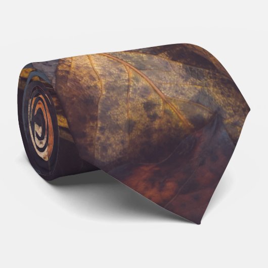 秋葉 ネクタイ (ロール)