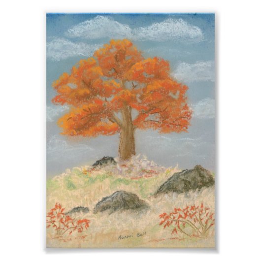 秋葉 フォトプリント            (正面)