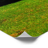 秋葉 ポスター (角)