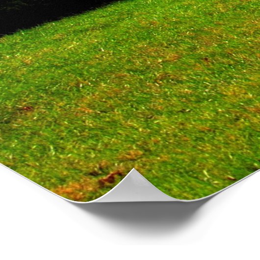 秋葉 ポスター (角)