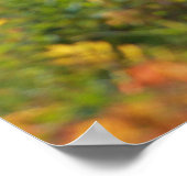 秋葉 ポスター (角)