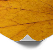 秋葉 ポスター (角)