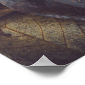 秋葉 ポスター (角)