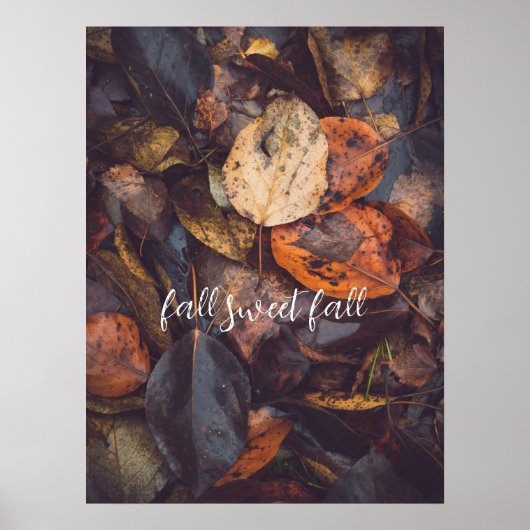 秋葉 ポスター (正面)