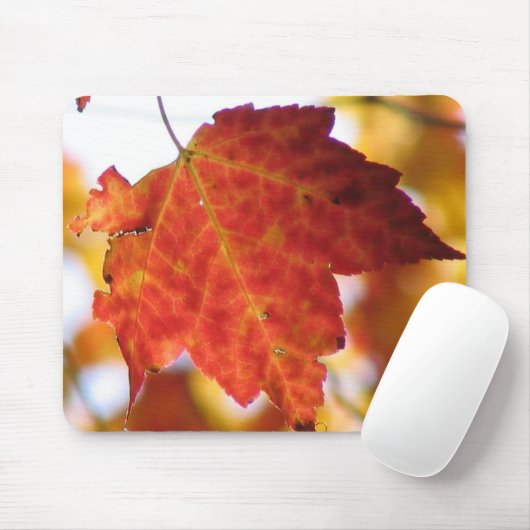 秋葉 マウスパッド (マウス)