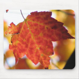 秋葉 マウスパッド