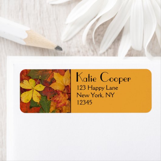 秋葉 ラベル (インサイチュ)