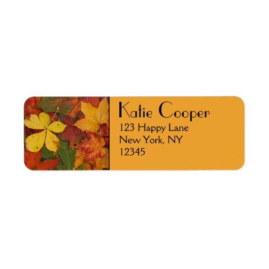 秋葉 ラベル (正面)