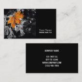 秋葉 名刺 (正面/裏面)