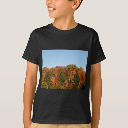 秋葉 Tシャツ (正面)