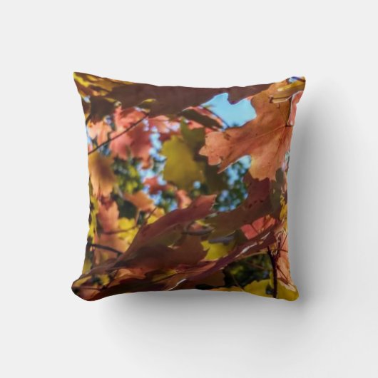 秋装飾用クッション クッション (正面)