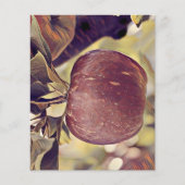 秋赤りんご実と離れ水色 (正面)