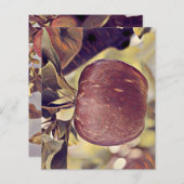 秋赤りんご実と離れ水色 (正面/裏面)