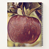 秋赤りんご実と離れ水色 ノートブック (裏面)