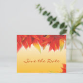 秋赤葉い結婚式日付はがきを保存する。 案内ポストカード (スタンド正面)