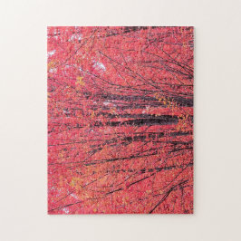 秋赤 – 秋の木 ジグソーパズル