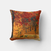 秋路 クッション (正面)