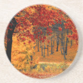 秋路 コースター (正面)