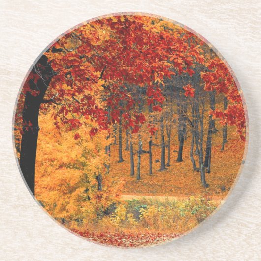 秋路 コースター (正面)