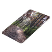 秋路 マグネット (左側)