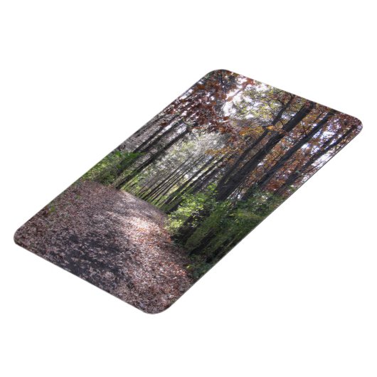 秋路 マグネット (左側)