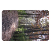 秋路 マグネット (横)