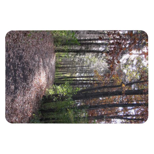 秋路 マグネット (横)