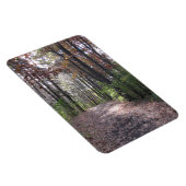 秋路 マグネット (右側)