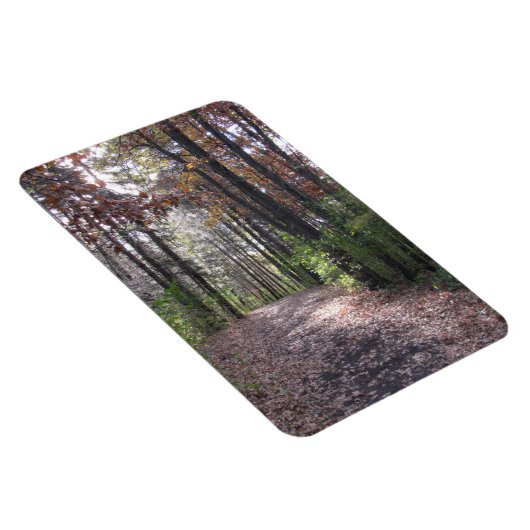 秋路 マグネット (右側)