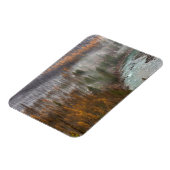 秋転がのカラマツの木に霧が立つ マグネット (左側)