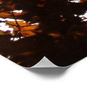 秋透過 ポスター (角)