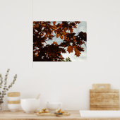 秋透過 ポスター (キッチン)