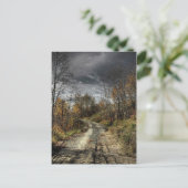 秋道 ポストカード (スタンド正面)