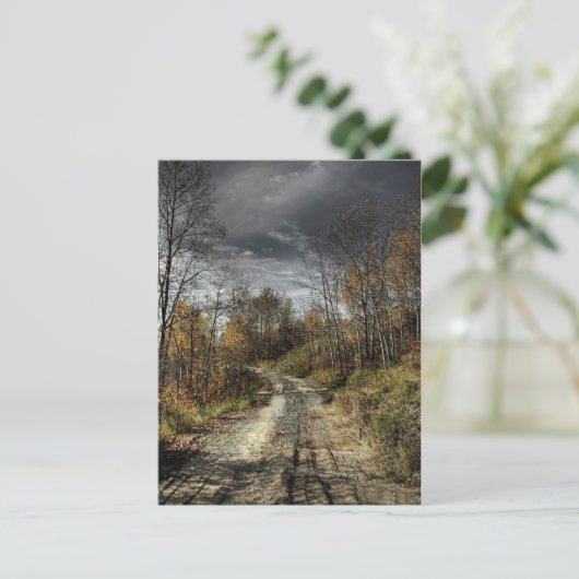 秋道 ポストカード (スタンド正面)