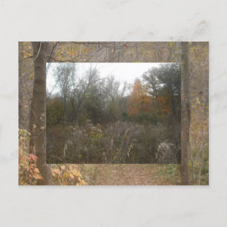 秋野生生物 ポストカード