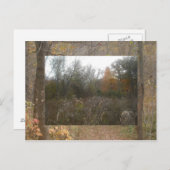 秋野生生物 ポストカード (正面/裏面)