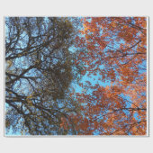 秋開始 ラッピングペーパー (フラット)