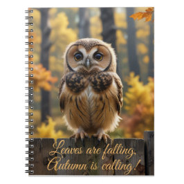 秋離れが来る ノートブック