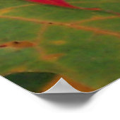 秋離れのIt滝 ポスター (角)